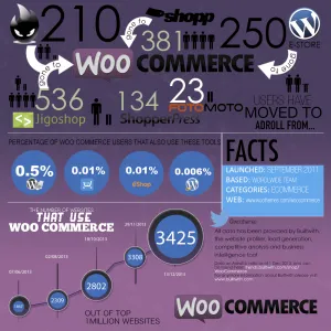 woocommerceBig